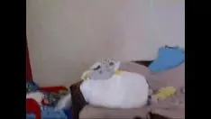 Play Cam pvt (15)