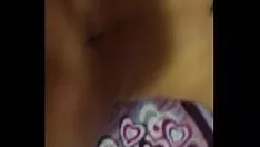 Oynat Perra