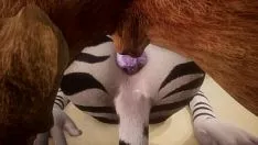 Reproducir El león social toma el culo de las cebras con su semen - wildliving