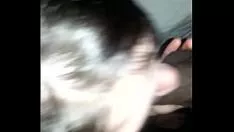 Reproduzir 20141217 025223