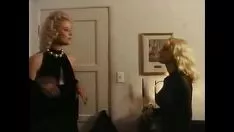 Afspelen Nox spraakritmes (1992) - delicatessena sheppard en jamie summertimes